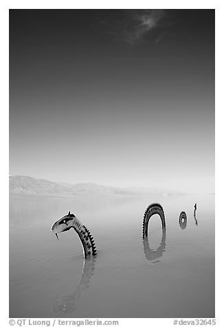 Short lived dragon art installation in rare seasonal lake. Death Valley National Park (black and white)