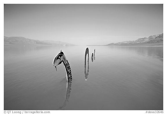 Loch Ness Monster art installation in rarissime seasonal lake. Death Valley National Park (black and white)