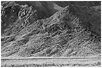 Desert Gold and mountains, late afternoon. Death Valley National Park ( black and white)