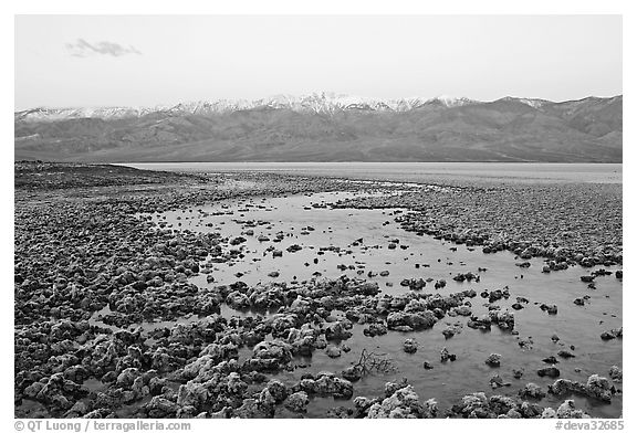 Pond and salt formations, Badwater, dawn. Death Valley National Park (black and white)