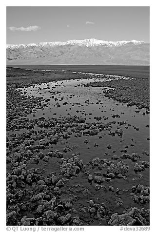 Salt pool and Panamint range, early morning. Death Valley National Park (black and white)