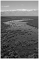 Salt pool and Panamint range, early morning. Death Valley National Park ( black and white)