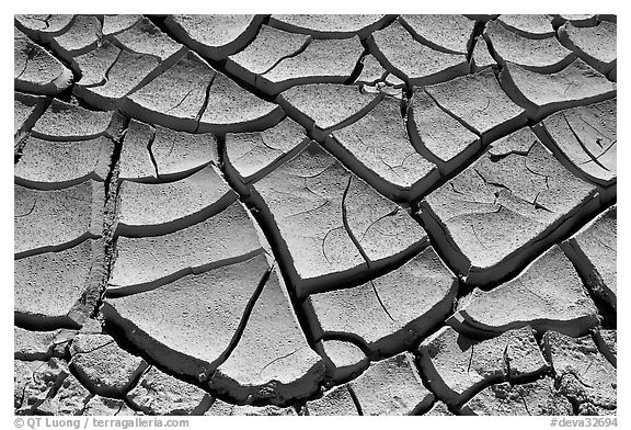 Mud cracks. Death Valley National Park (black and white)