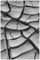 Cracked mud. Death Valley National Park, California, USA. (black and white)