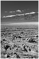Rock field, salt flats, and Panamint Range, morning. Death Valley National Park ( black and white)