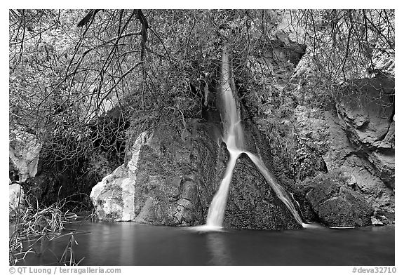 Darwin Falls desert oasis. Death Valley National Park (black and white)