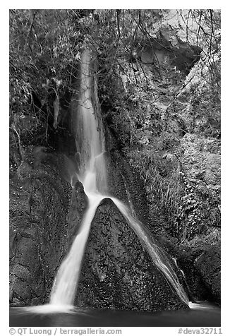 Darwin Falls, a rare desert waterfall. Death Valley National Park (black and white)