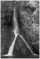 Darwin Falls, a rare desert waterfall. Death Valley National Park ( black and white)