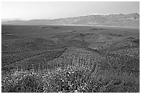 Panamint Valley and Panamint Range, dusk. Death Valley National Park, California, USA. (black and white)