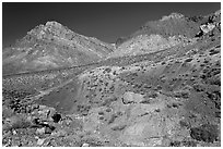 Slopes above Titus Canyon. Death Valley National Park, California, USA. (black and white)
