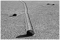 Intersecting travel grooves of sliding stones, the Racetrack. Death Valley National Park ( black and white)