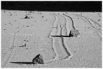 Gliding stones, the Racetrack playa. Death Valley National Park ( black and white)
