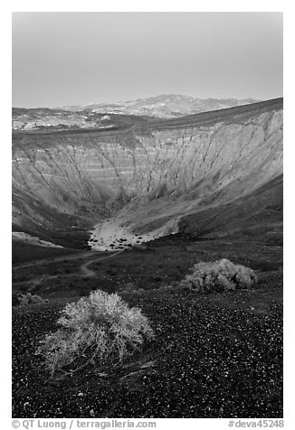 Sagebrush and Ubehebe Crater at dusk. Death Valley National Park (black and white)