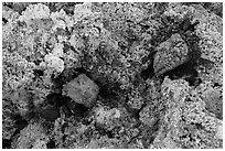 Close-up of salt crystals and red rocks. Death Valley National Park ( black and white)