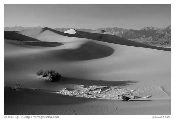 Dunes, mesquite, dried mud, Amargosa Range. Death Valley National Park (black and white)
