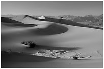 Dunes, mesquite, dried mud, Amargosa Range. Death Valley National Park ( black and white)