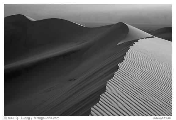 Dune ridges at sunset. Death Valley National Park (black and white)