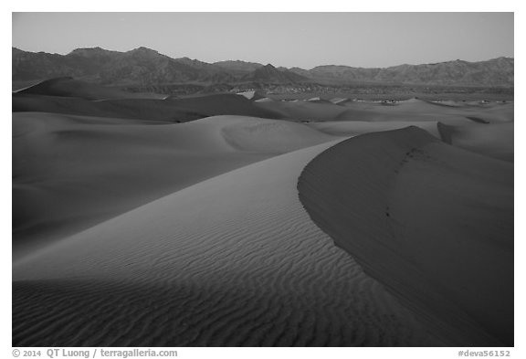 Dusk over the Mesquite Sand dunes. Death Valley National Park (black and white)