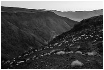 View from Father Crowley Viewpoint at sunrise. Death Valley National Park ( black and white)