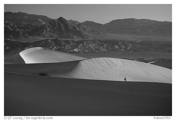 Hiker on ridge, Mesquite Dunes, sunrise. Death Valley National Park, California, USA.