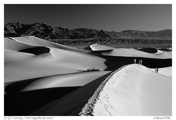 Dune field with hikers, Mesquite Dunes. Death Valley National Park, California, USA.
