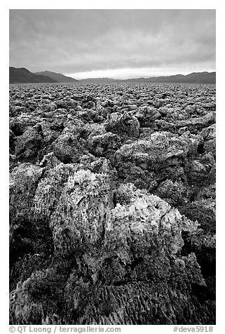 Salt formations at Devil's Golf Course. Death Valley National Park (black and white)