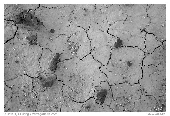 Close-up of volcanic stones and cracked mud, Panamint Valley. Death Valley National Park (black and white)