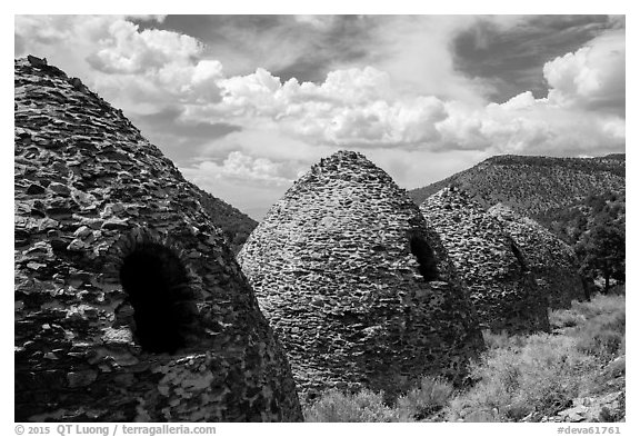 Wildrose Charcoal Kilns and clouds. Death Valley National Park (black and white)