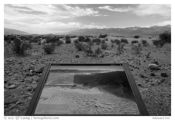 Sand Dunes Interpretive sign. Death Valley National Park (black and white)