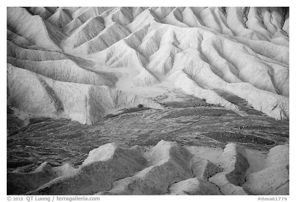 Badlands and wash at dawn, Zabriskie Point. Death Valley National Park (black and white)