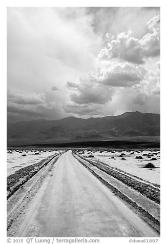 Road crossing Salt Pan. Death Valley National Park (black and white)