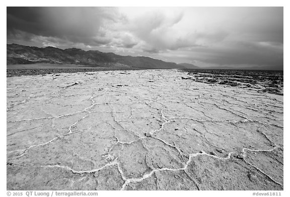 Salt evaporation ridges. Death Valley National Park (black and white)