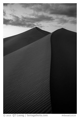 Dune ridges at sunset, Ibex Dunes. Death Valley National Park (black and white)