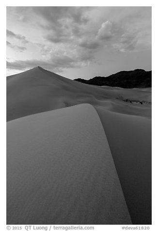 Ibex dunes field at dusk. Death Valley National Park (black and white)