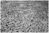 Ground covered with small sharp rock. Death Valley National Park ( black and white)