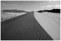 Dune ridge and ripples, Ibex Dunes. Death Valley National Park ( black and white)