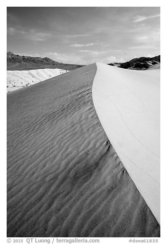Ibex Sand Dune ridge and ripples. Death Valley National Park (black and white)