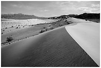 Ibex Dunes and Ibex Hills. Death Valley National Park ( black and white)