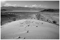 Ibex Dunes and valley. Death Valley National Park ( black and white)