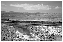 Wetlands, Saragota Spring. Death Valley National Park ( black and white)