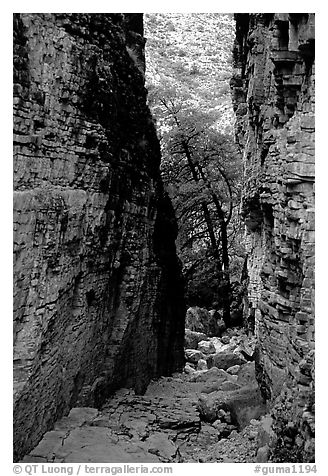 Narrow passage between cliffs, Devil's Hall. Guadalupe Mountains National Park (black and white)