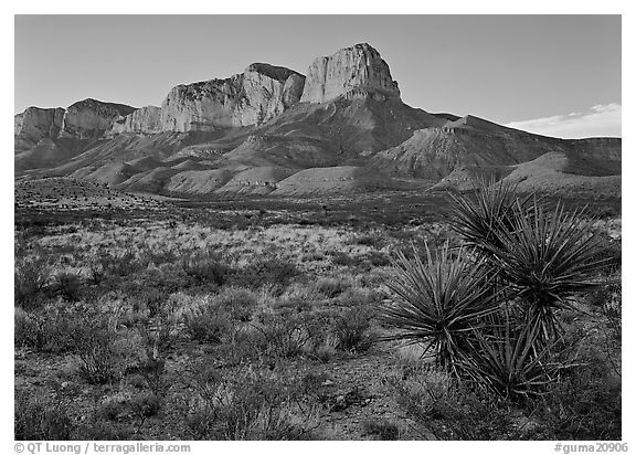El Capitan from Williams Ranch road, sunset. Guadalupe Mountains National Park (black and white)