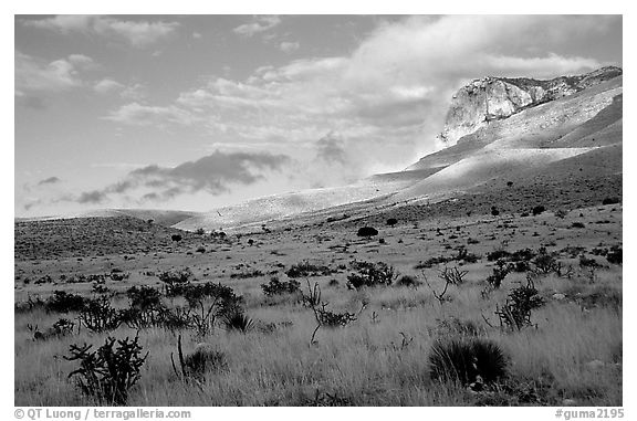Flats and El Capitan, early morning. Guadalupe Mountains National Park (black and white)