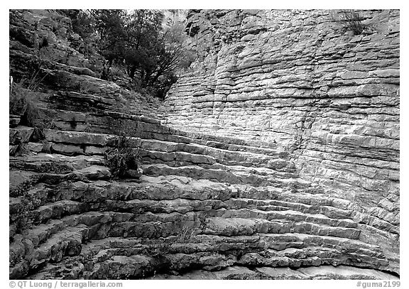 Hiker's Staircase, Pine Spring Canyon. Guadalupe Mountains National Park (black and white)