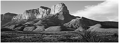 El Capitan cliffs in late afternoon. Guadalupe Mountains National Park (Panoramic black and white)