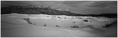 Salt Basin gypsum dunes and Guadalupe range. Guadalupe Mountains National Park (Panoramic black and white)