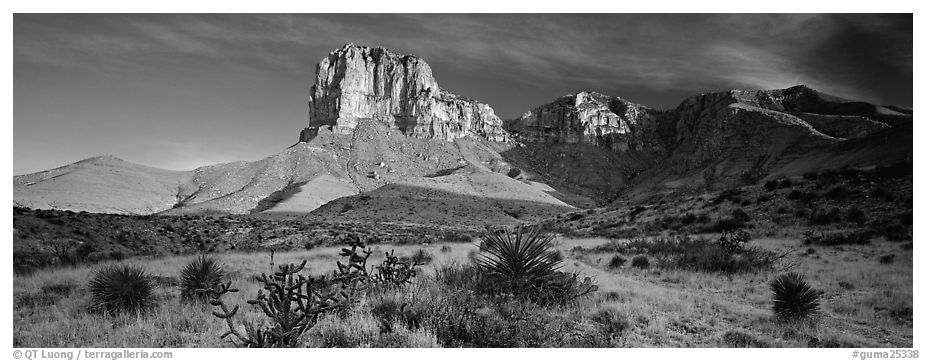 El Capitan rising above desert flats. Guadalupe Mountains National Park (black and white)