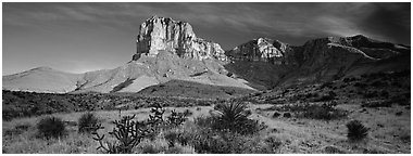 El Capitan rising above desert flats. Guadalupe Mountains National Park (Panoramic black and white)