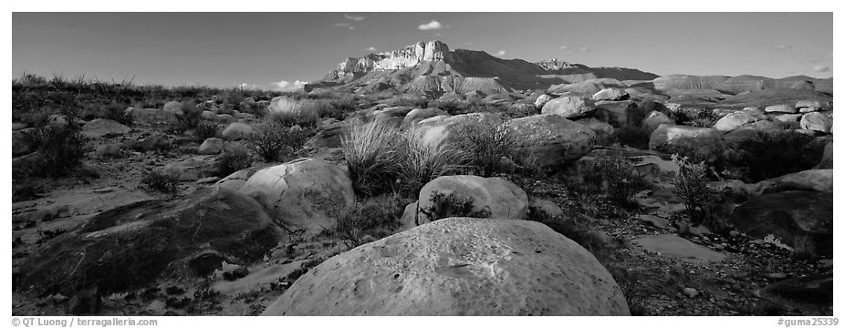 Boulders and Guadalupe range. Guadalupe Mountains National Park (black and white)