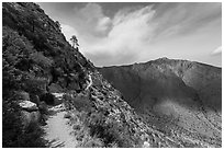 Guadalupe Peak Trail. Guadalupe Mountains National Park, Texas, USA. (black and white)